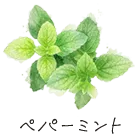ペパーミント