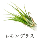 レモングラス