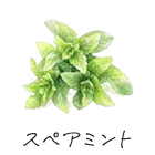 スペアミント