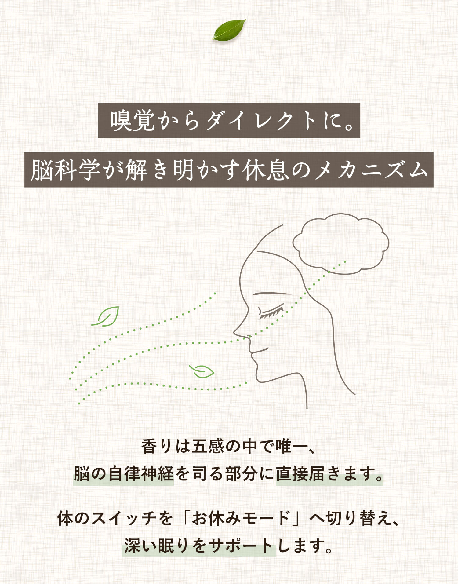 嗅覚からダイレクトに。脳科学が解き明かす休息のメカニズム。香りは五感の中で唯一、
脳の自律神経を司る部分に直接届きます。体のスイッチを「お休みモード」へ切り替え、 深い眠りをサポートします。