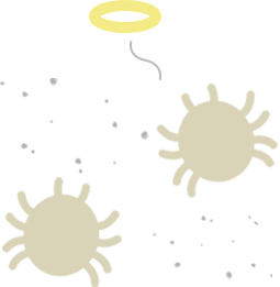 ダニの死骸