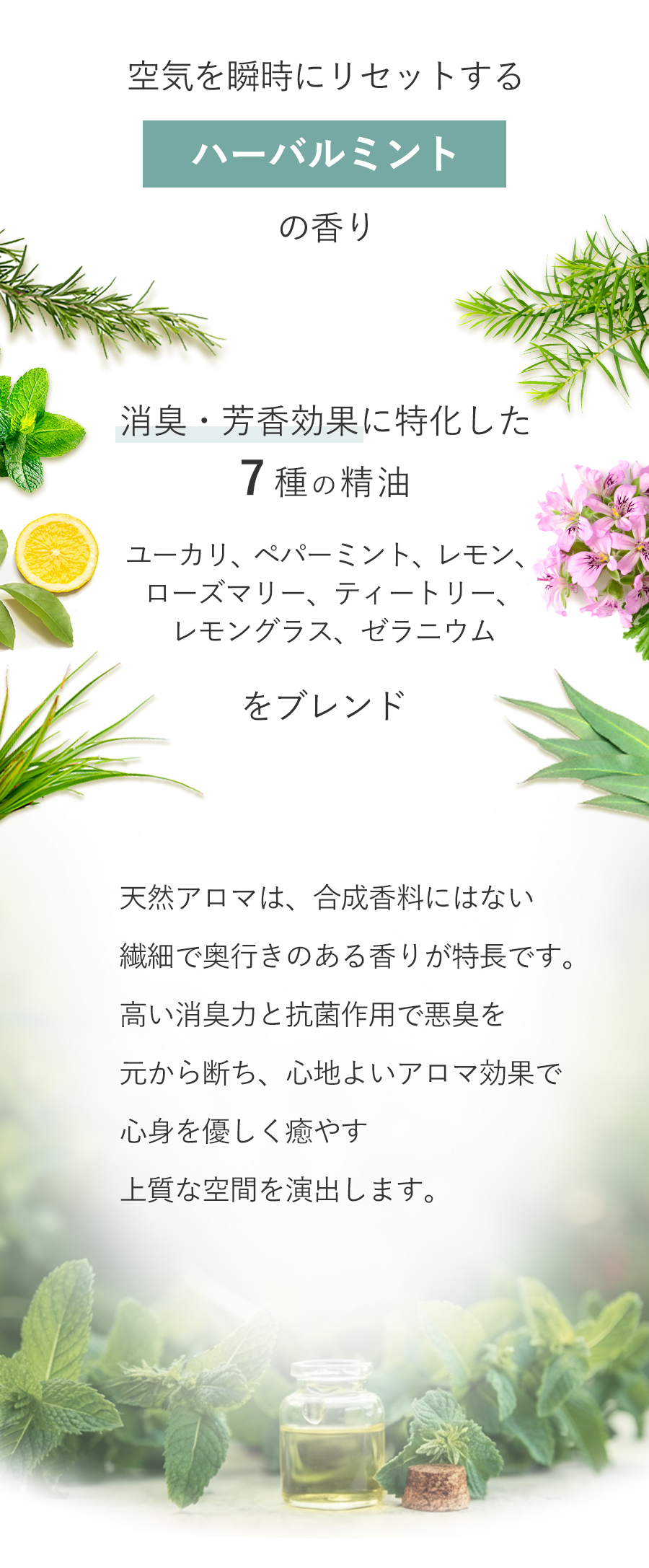 T-Scent Image 06