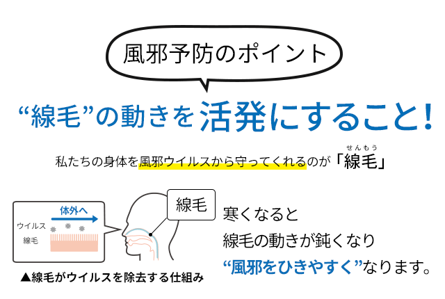 風邪予防のポイントは…線毛の動きを活発にすること