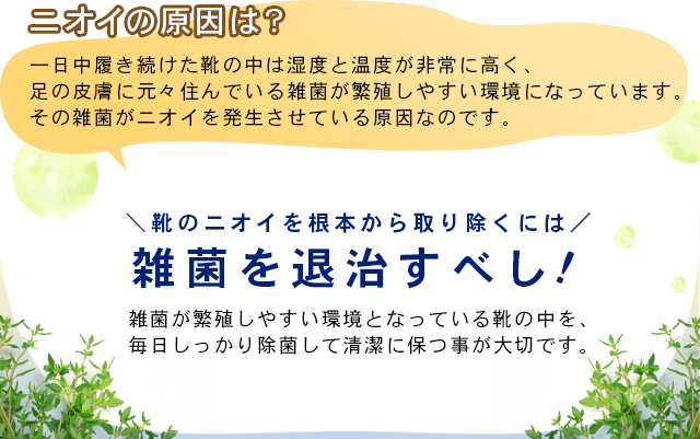ニオイの原因は、ズバリ…雑菌！